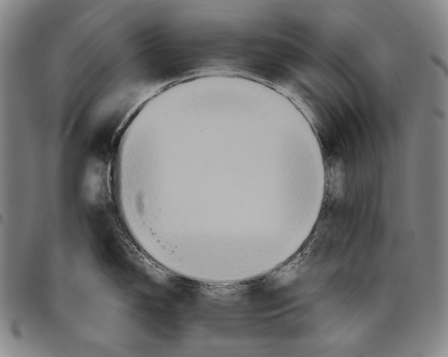 X0000096481150200802211208
