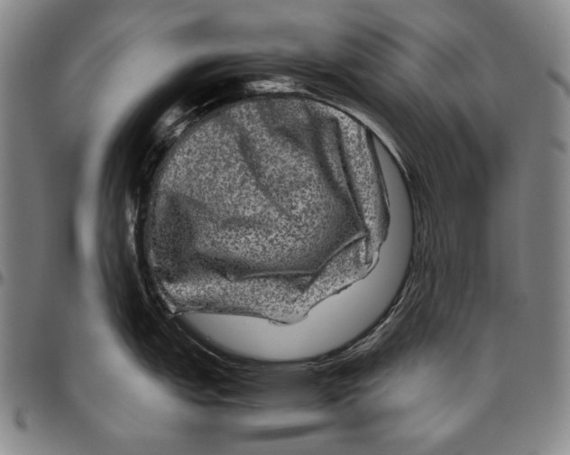 X0000096481151200802211208