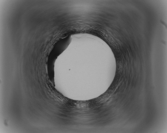 X0000096481153200802211207
