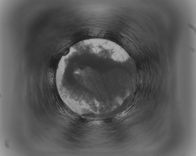 X0000096481154200802211207