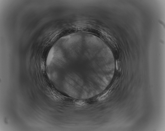 X0000096481155200802211207