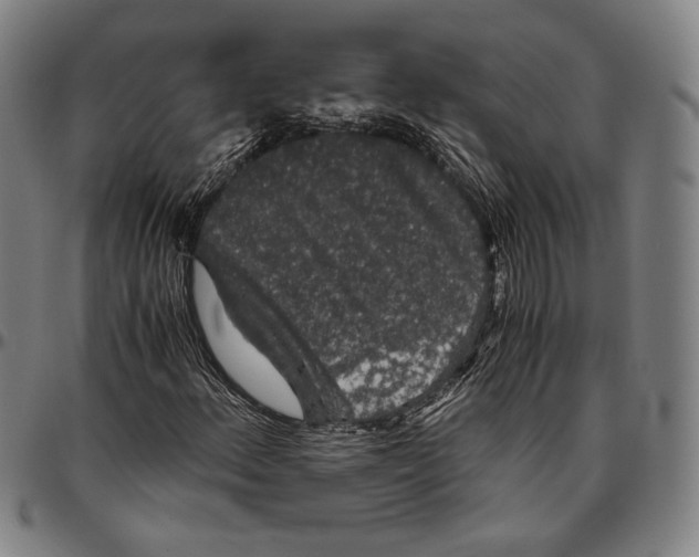 X0000096481156200802211207