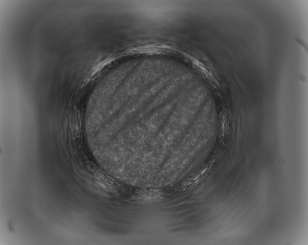 X0000096481158200802211207
