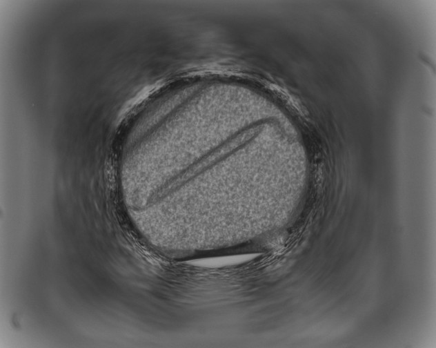 X0000096481159200802211207