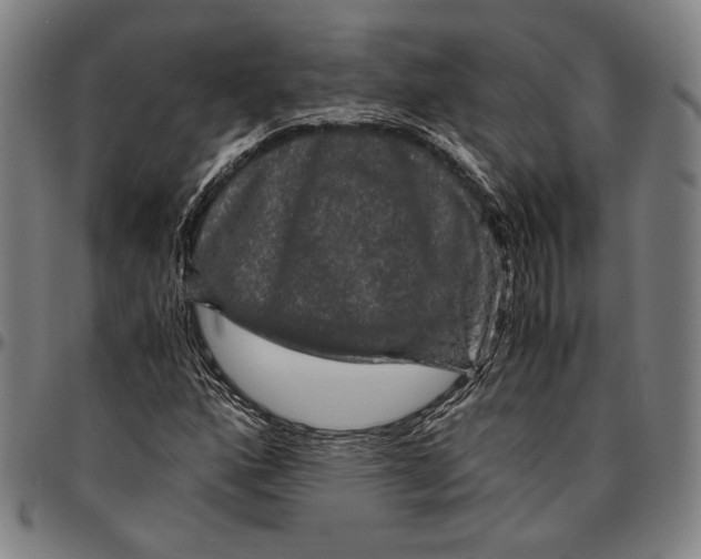 X0000096481160200802211207