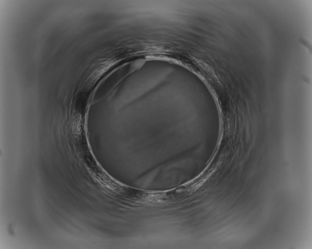 X0000096481161200802211207
