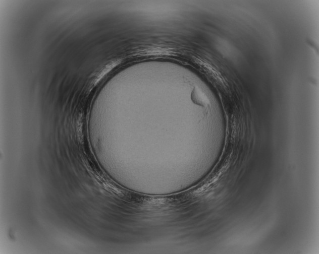 X0000096481162200802211207