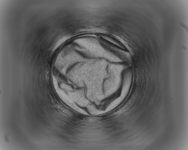 X0000096481163200802211207