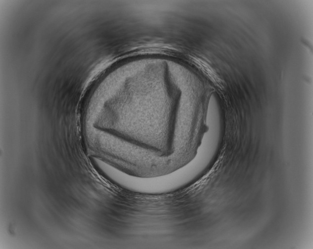 X0000096481164200802211207