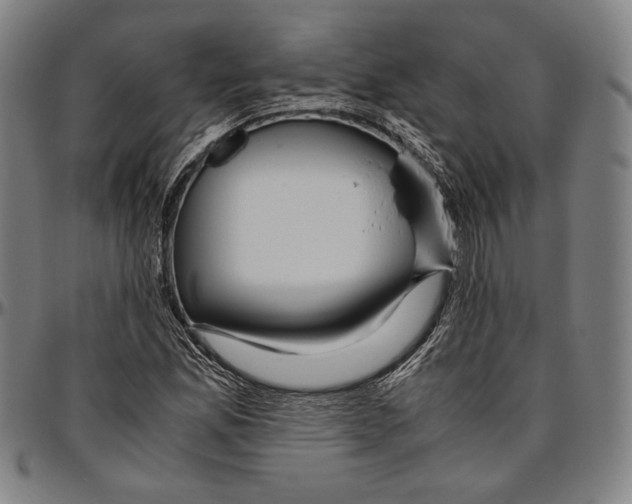 X0000096481165200802211207