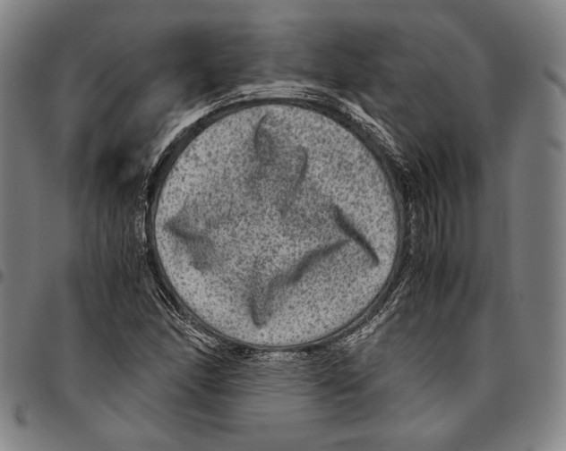 X0000096481166200802211207