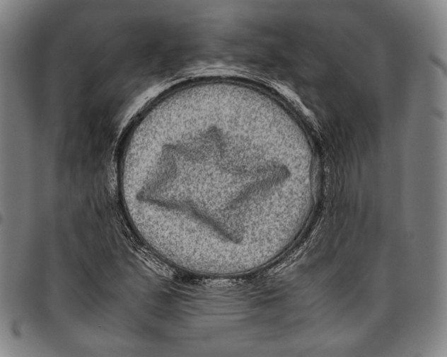 X0000096481167200802211207