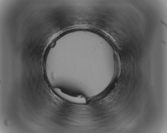 X0000096481168200802211207