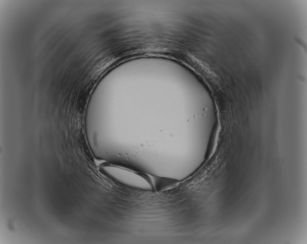 X0000096481169200802211207