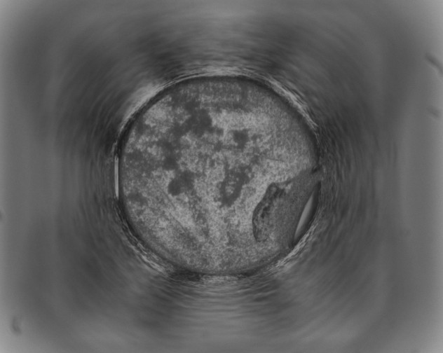 X0000096481171200802211207