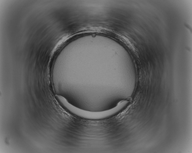 X0000096481172200802211207