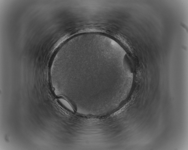 X0000096481173200802211207