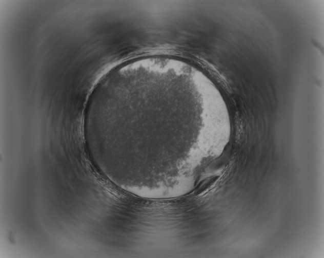 X0000096481174200802211207