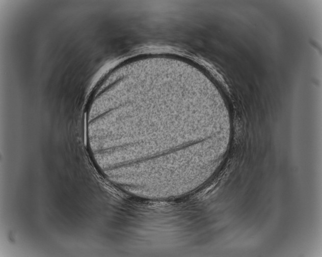 X0000096481175200802211207