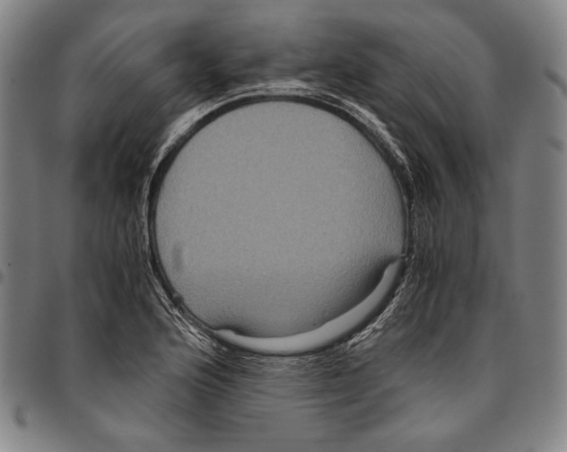 X0000096481176200802211207
