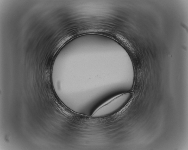 X0000096481177200802211207