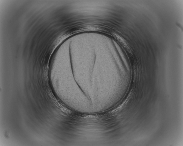 X0000096481178200802211207