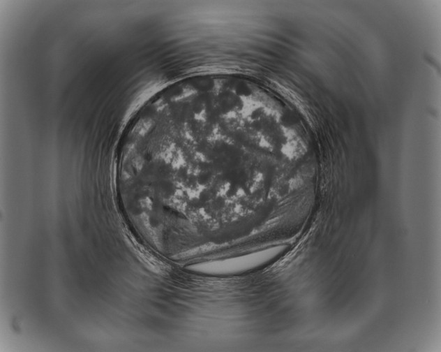 X0000096481179200802211207
