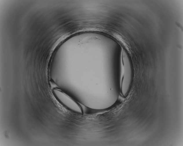 X0000096481181200802211207
