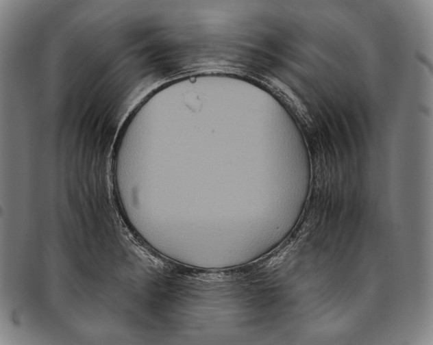 X0000096481182200802211207