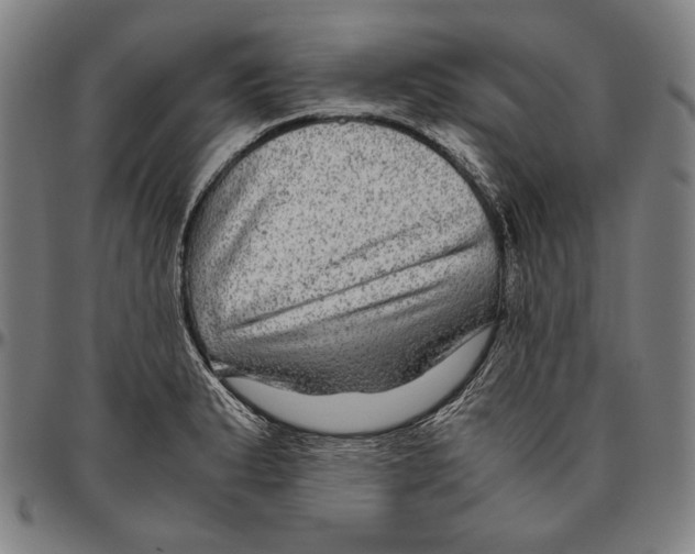 X0000096481183200802211207