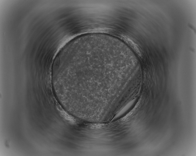 X0000096481184200802211207