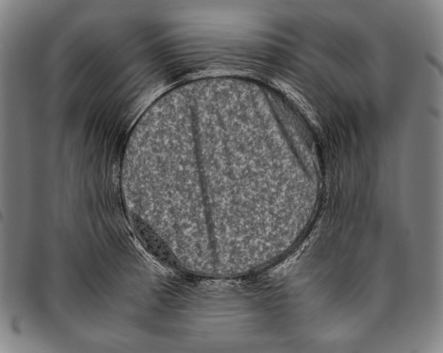 X0000096481185200802211207