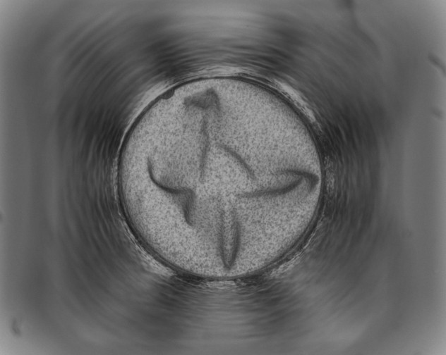 X0000096481186200802211207