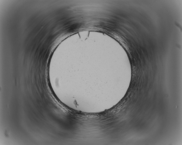 X0000096481187200802211207