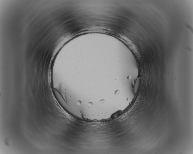 X0000096481188200802211207