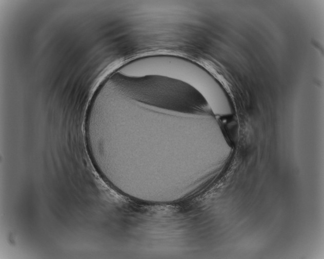 X0000096481189200802211207