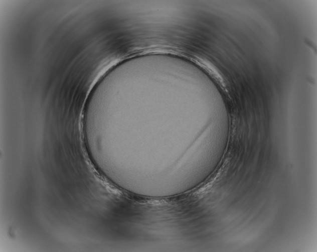 X0000096481190200802211207