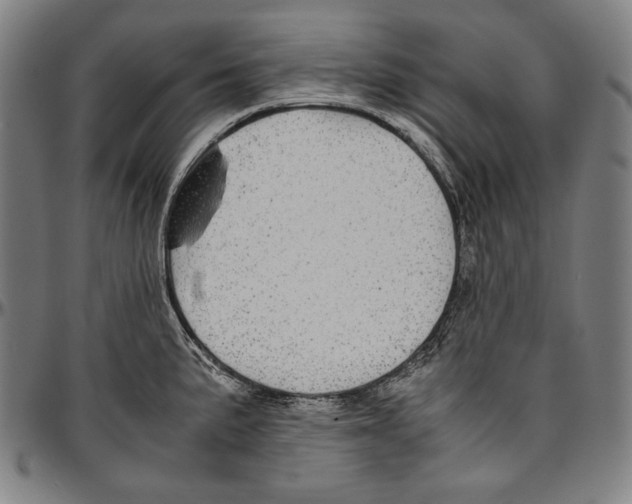X0000096481191200802211207