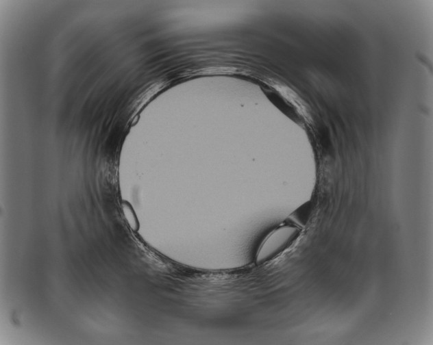 X0000096481193200802211207
