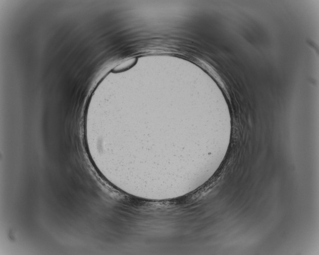 X0000096481195200802211207