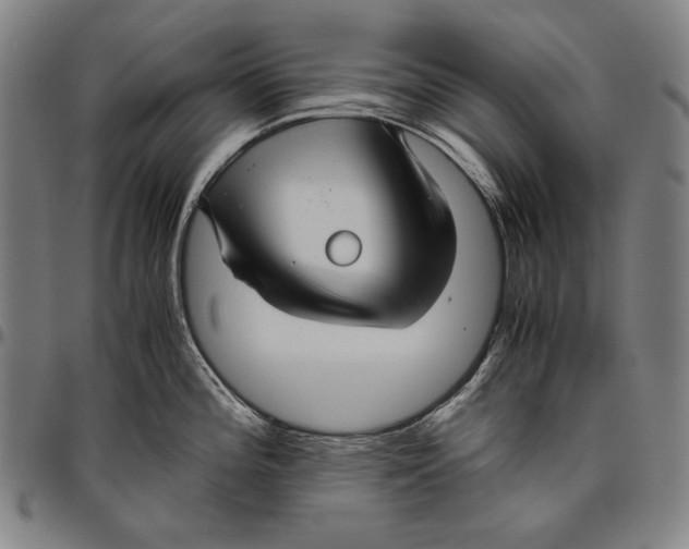 X0000096481196200802211207
