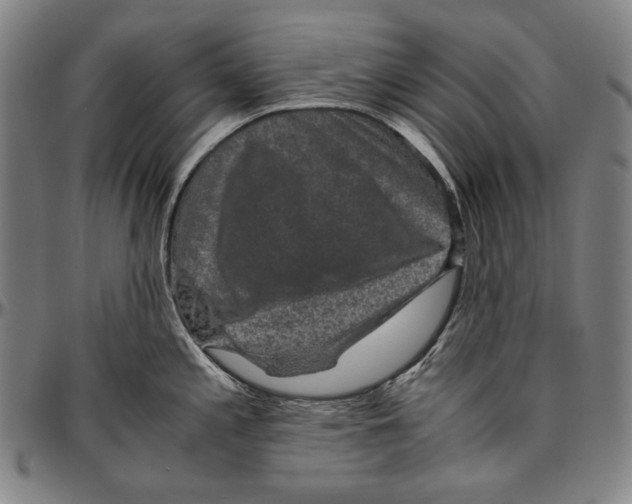 X0000096481197200802211207
