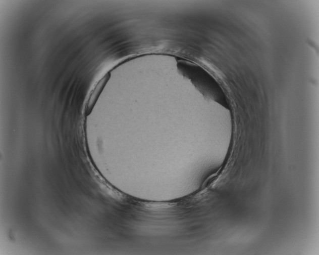X0000096481200200802211207