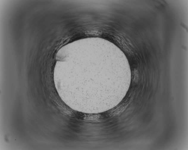 X0000096481201200802211206