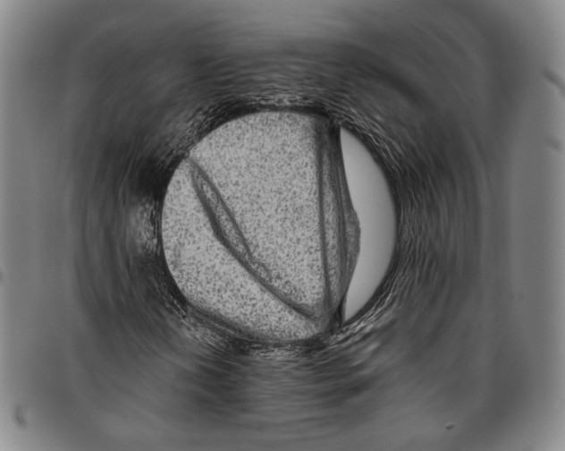 X0000096481202200802211206