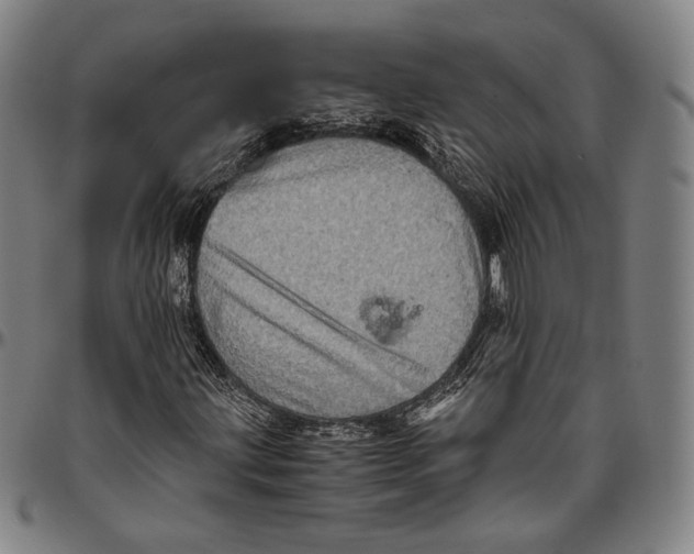 X0000096481203200802211206