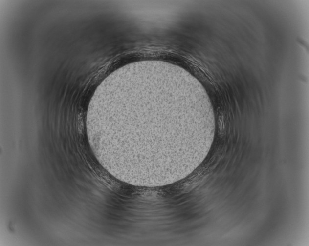 X0000096481204200802211206