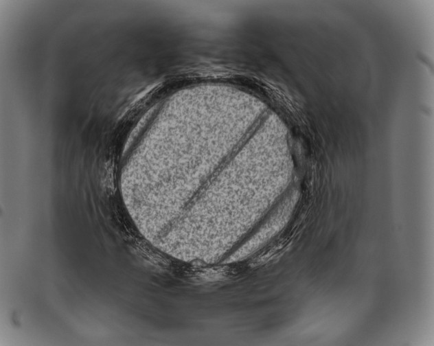 X0000096481205200802211206