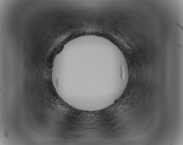 X0000096481207200802211206