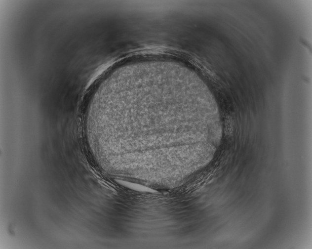 X0000096481208200802211206